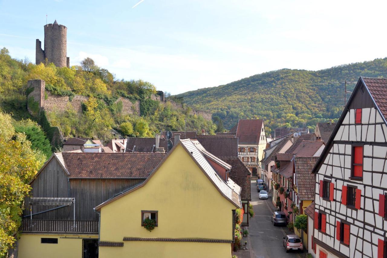 Gite Les Oiseaux Kaysersberg-Vignoble Kültér fotó